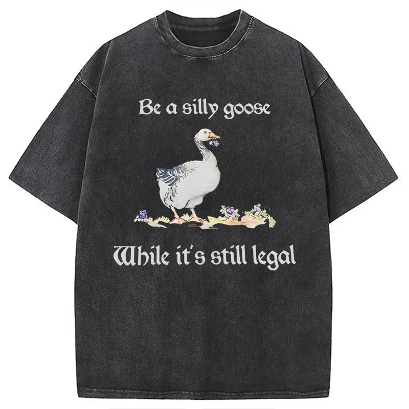 Modecanvas Be A Silly Goose DTG Printing Washed T-Shirt