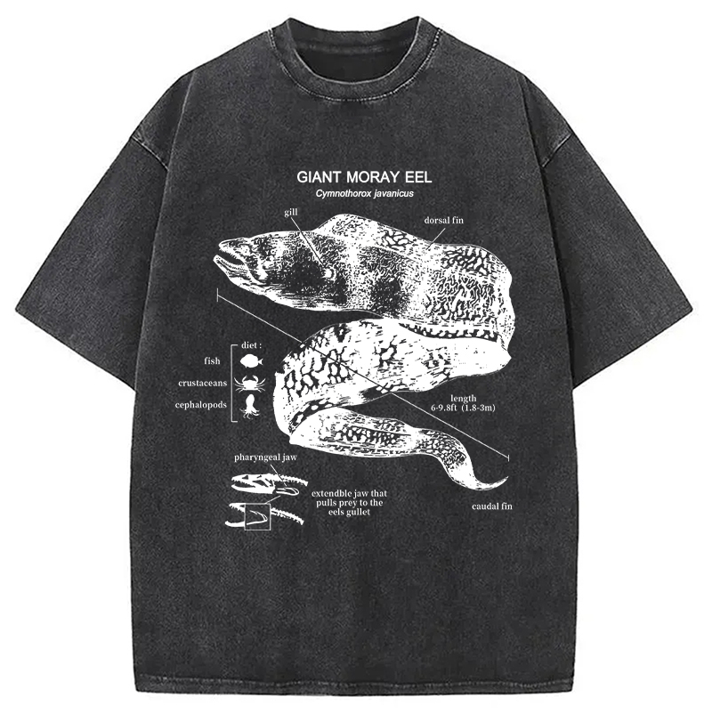Modecanvas Moray Eel Anatomy Vintage DTG Printing Washed T-Shirt