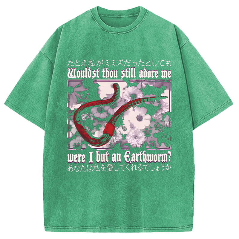 Modecanvas Wouldst Thou Still Adore Me DTG Printing Washed T-Shirt