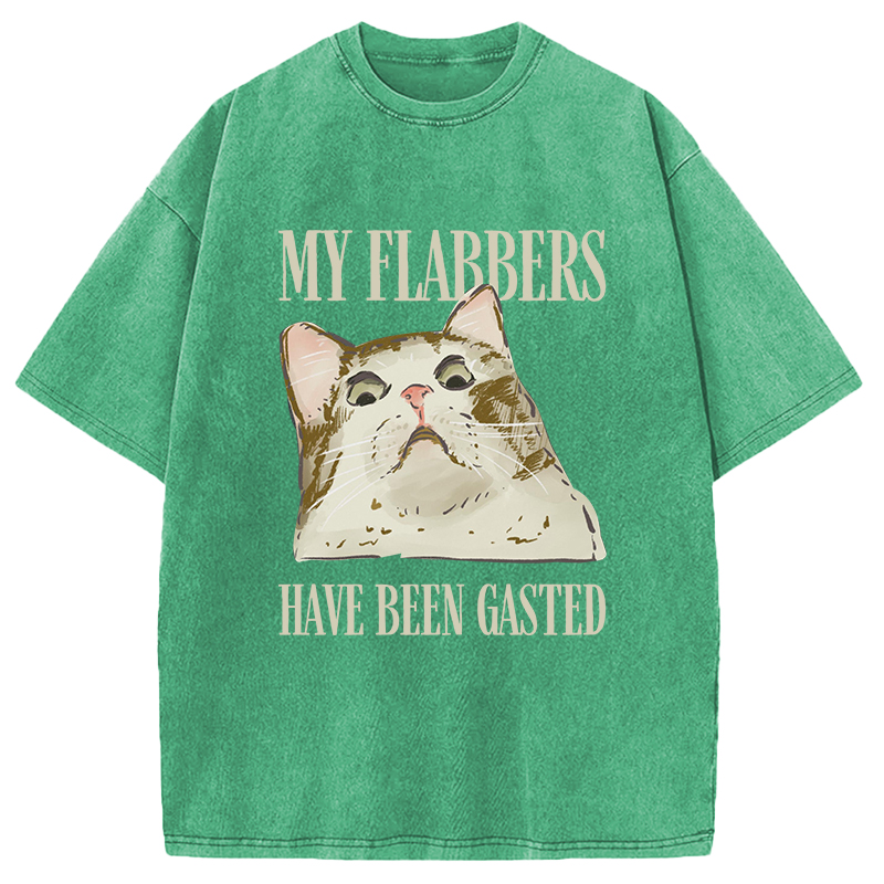 Modecanvas My Flabbers Have Been Gasted Cat Meme DTG Printing Washed T-Shirt