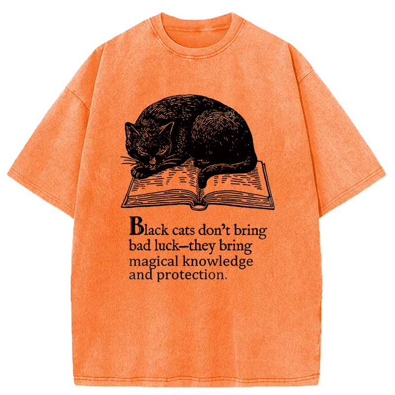 Modecanvas Black Cat Sleeping On A Book Washed T-Shirt