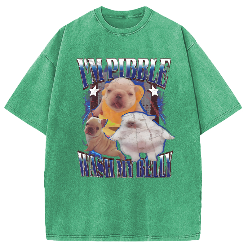 Modecanvas Everything is illegal DTG Printing Washed T-Shirt