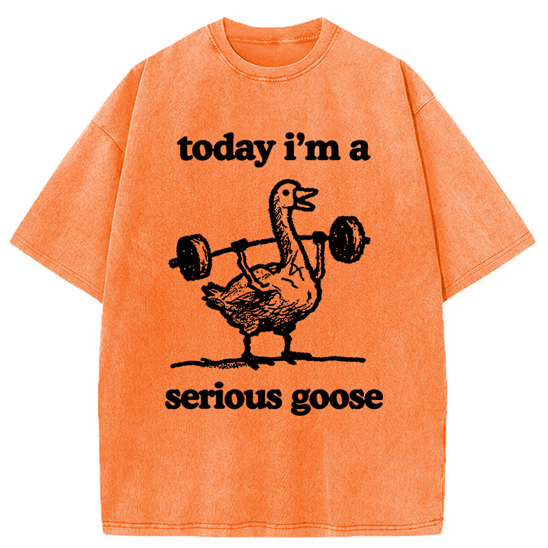 Modecanvas Fitness Goose Washed T-Shirt