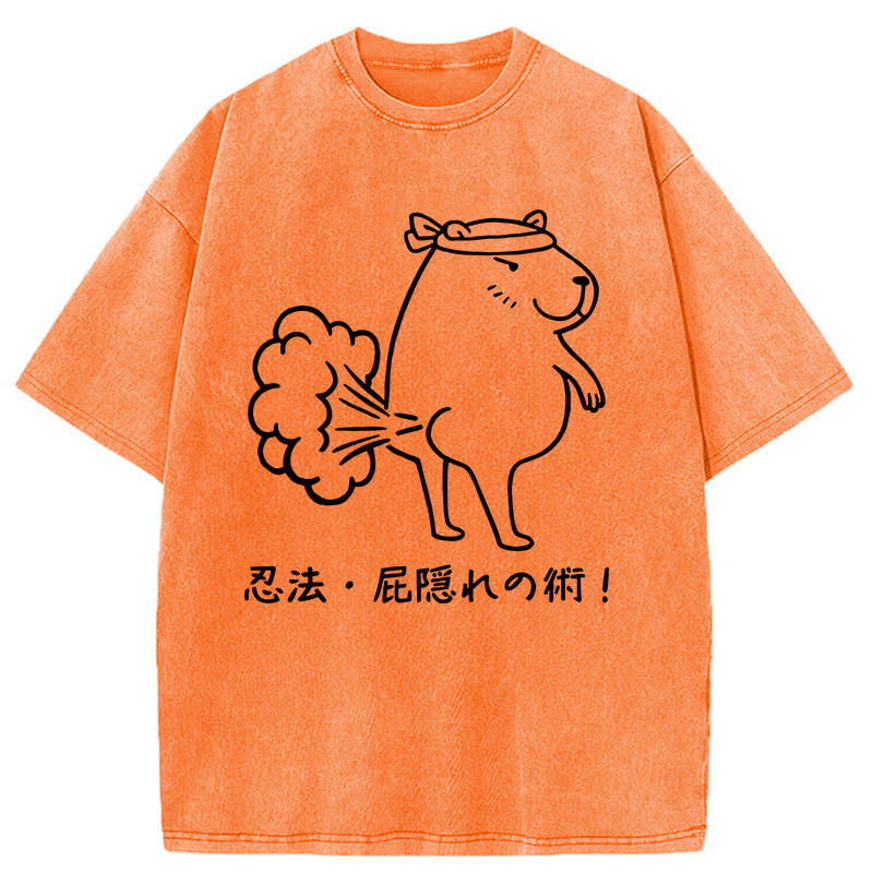 Modecanvas Funny Ninjutsu Fart Hiding Technique Washed T-Shirt