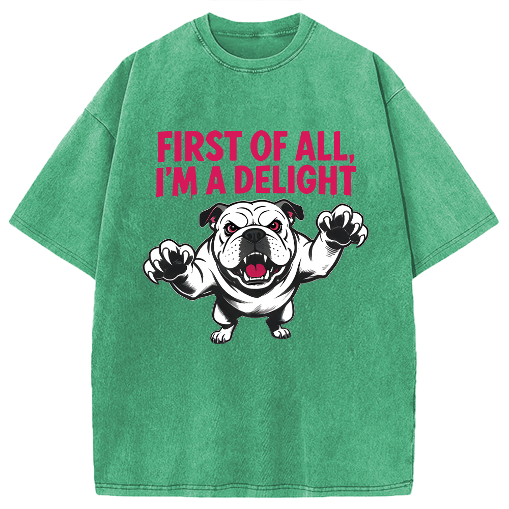 Modecanvas Fierce Bulldog Delight DTG Printing Washed T-Shirt