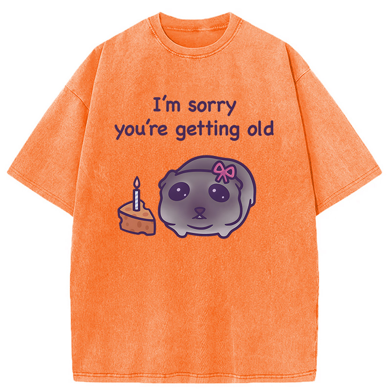 Modecanvas Sad Hamster Birthday Meme DTG Printing Washed T-Shirt