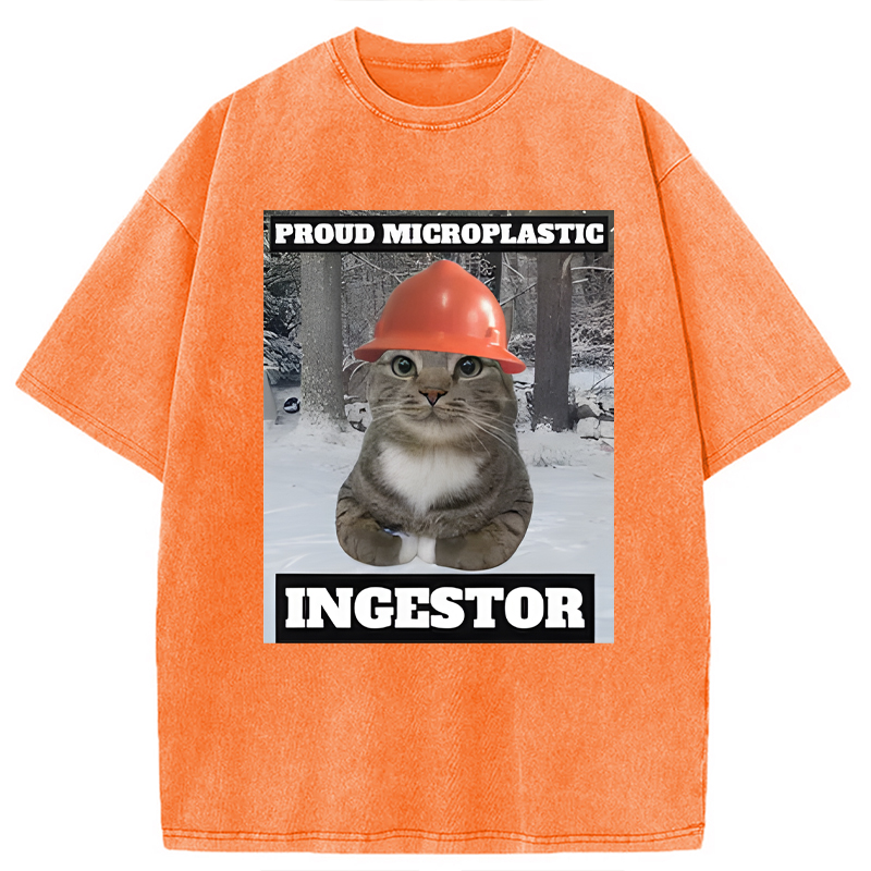 Modecanvas Proud Microplastic Ingestor Cat Meme DTG Printing Washed T-Shirt