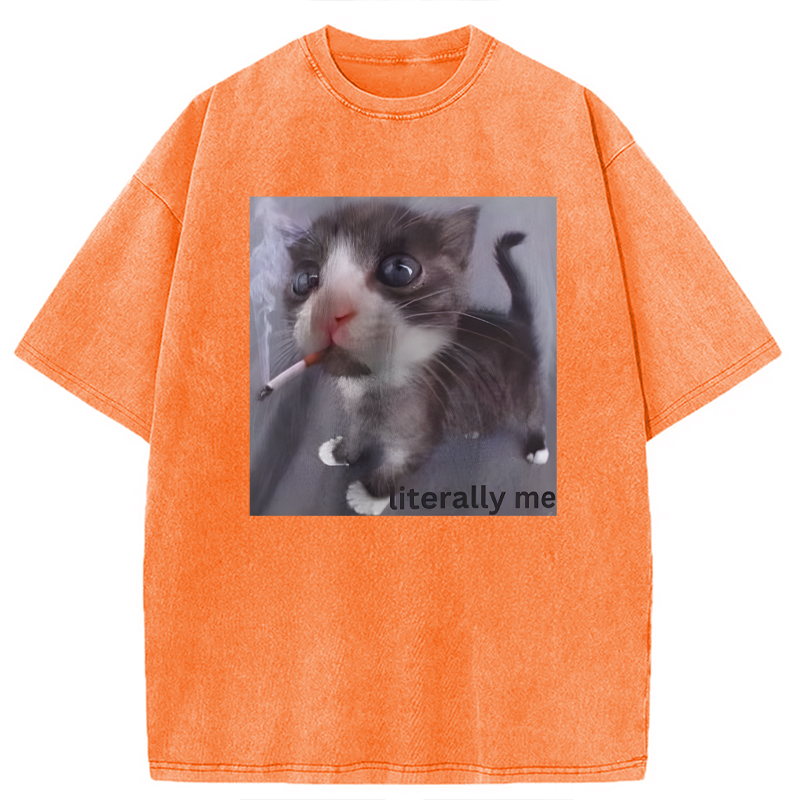 Modecanvas Literally Me Smoking Cat DTG Printing Washed T-Shirt