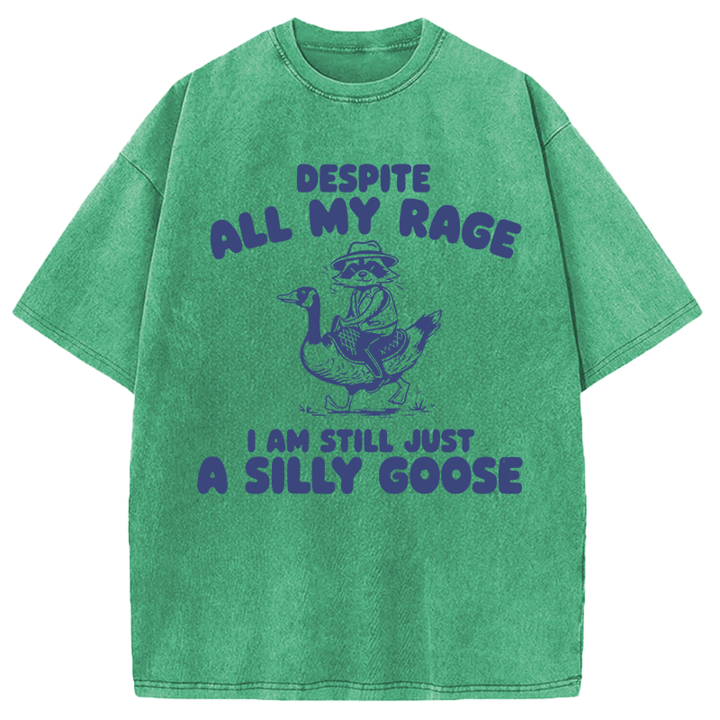 Modecanvas A Silly Goose DTG Printing Washed T-Shirt