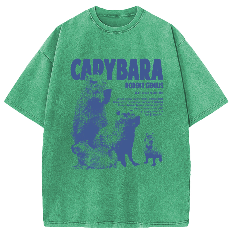 Modecanvas Capybara Vintage DTG Printing Washed T-Shirt