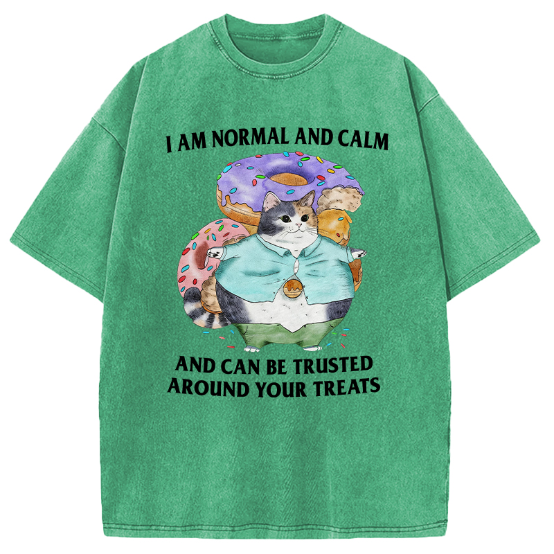 Modecanvas I Can Be Trusted Around Your Treats DTG Printing Washed T-Shirt