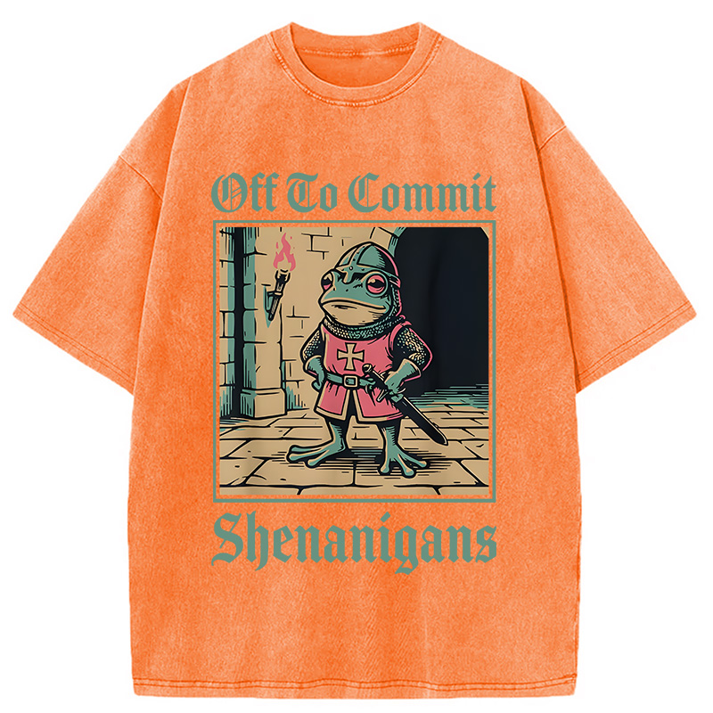Modecanvas Off To Commit Shenanigans DTG Printing Washed T-Shirt