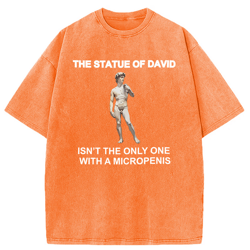 Modecanvas The Statue Of David Meme DTG Printing Washed T-Shirt