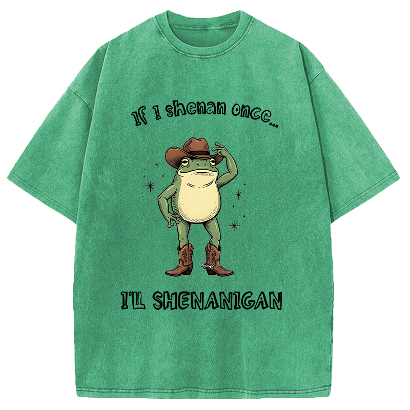 Modecanvas I ll Shenanigan Frog DTG Printing Washed T-Shirt