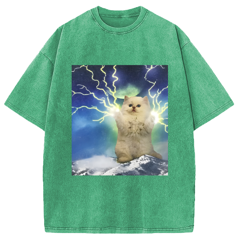 Modecanvas Lightning Cat DTG Printing Washed T-Shirt