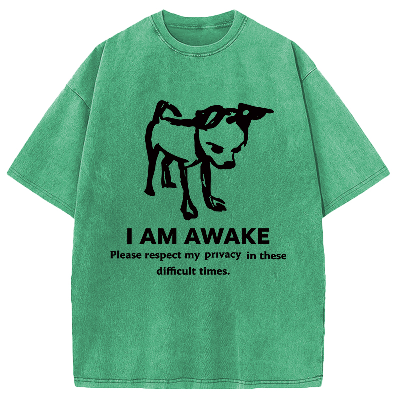 Modecanvas Silly Dog Privacy Meme DTG Printing Washed T-Shirt