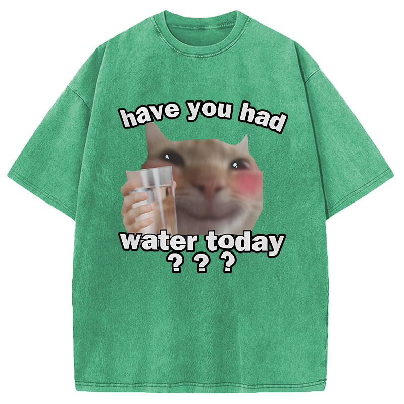Modecanvas Remind To Drink Water DTG Printing Washed T-Shirt