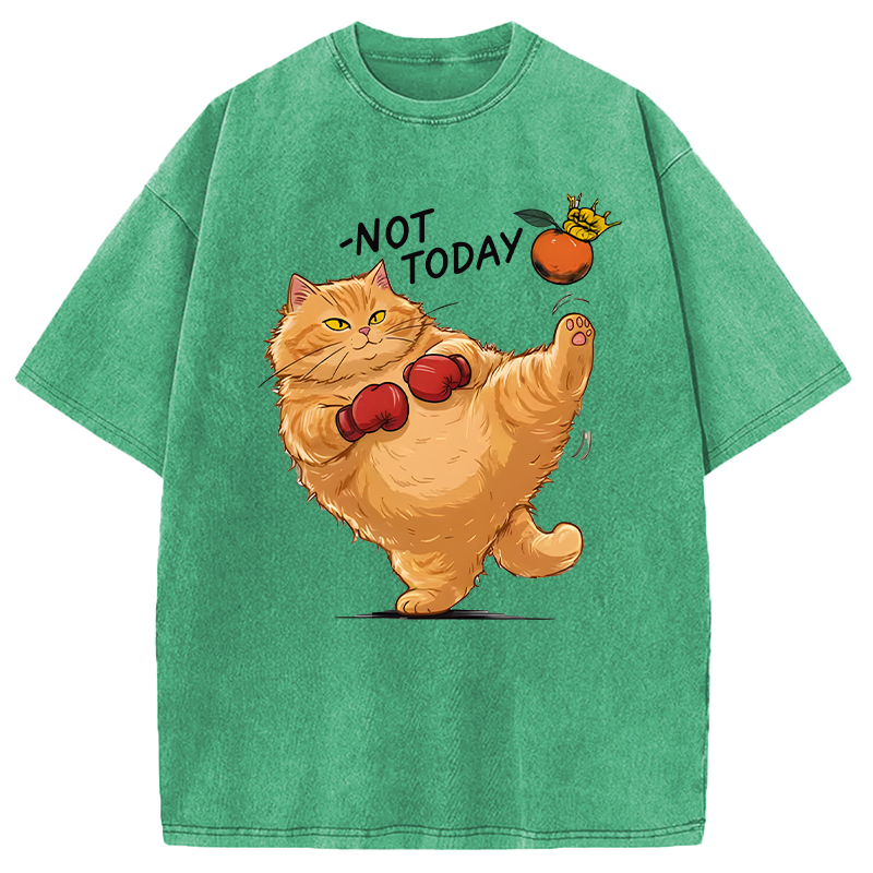 Modecanvas Boxing Cat DTG Printing Washed T-Shirt