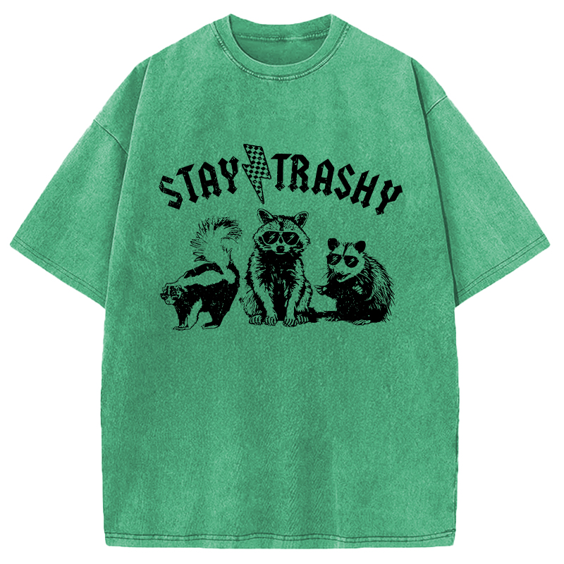 Modecanvas Stay Trashy Funny Raccoon DTG Printing Washed T-Shirt
