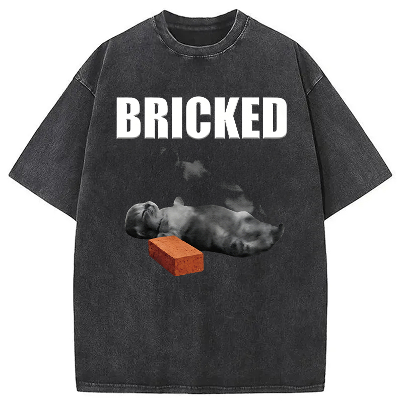 Modecanvas Bricked Funny Cat Knocked Out DTG Printing Washed T-Shirt