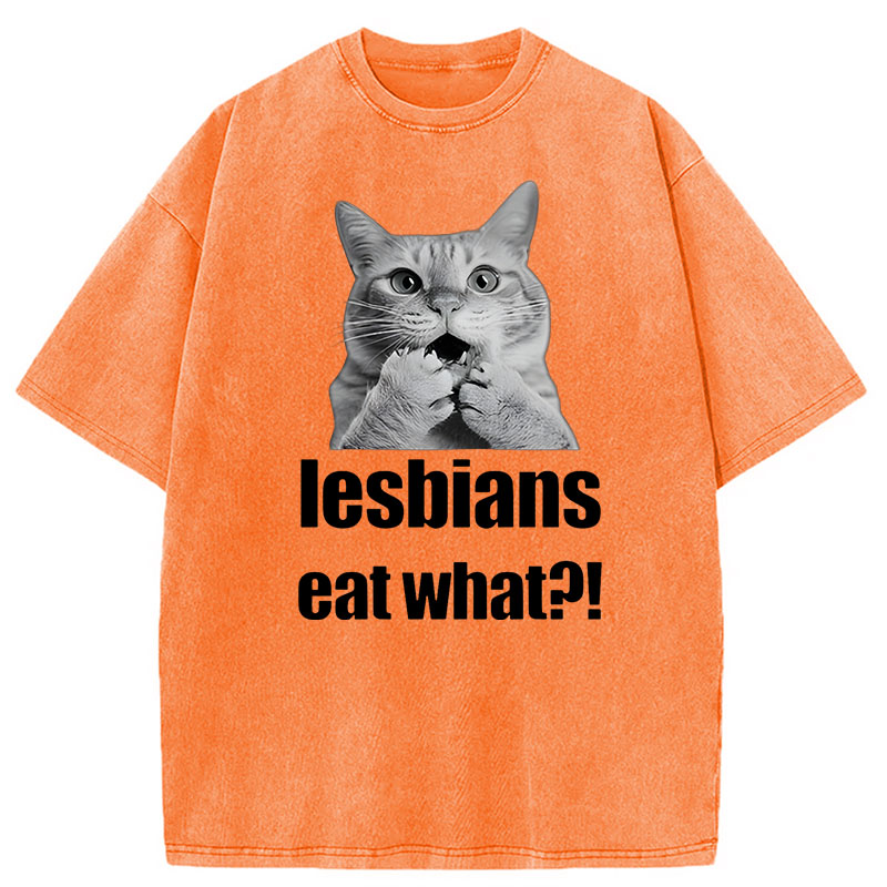 Modecanvas Lesbians Eat What? Funny Gay Joke DTG Printing Washed T-Shirt