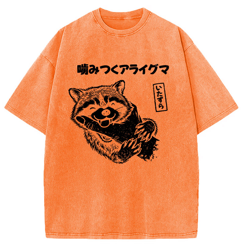 Modecanvas Mischief Raccoon DTG Printing Washed T-Shirt