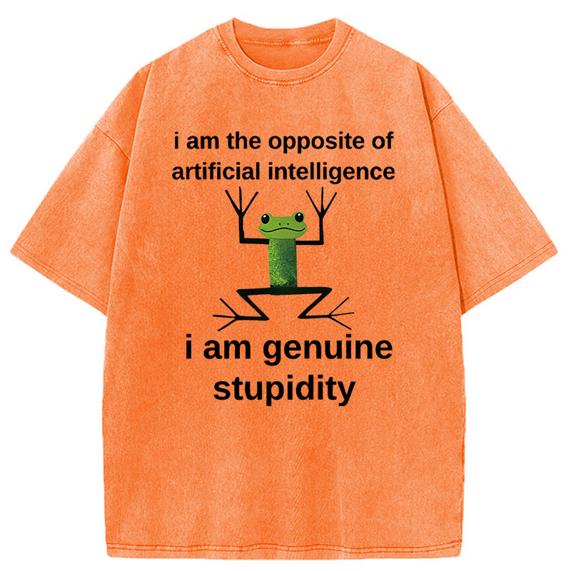 Modecanvas Genuine Stupidity Frog Meme DTG Printing Washed T-Shirt