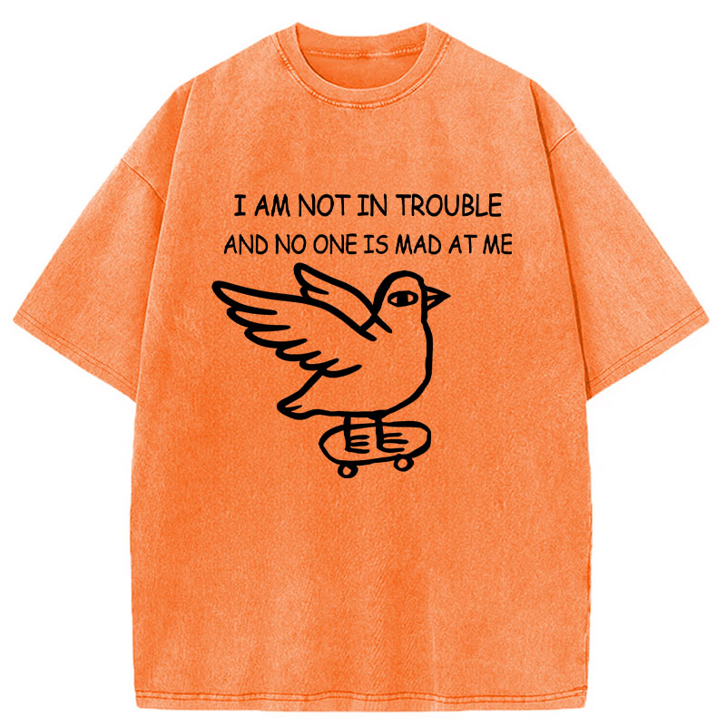Modecanvas Bird Pretends It Did Nothing Wrong DTG Printing Washed T-Shirt