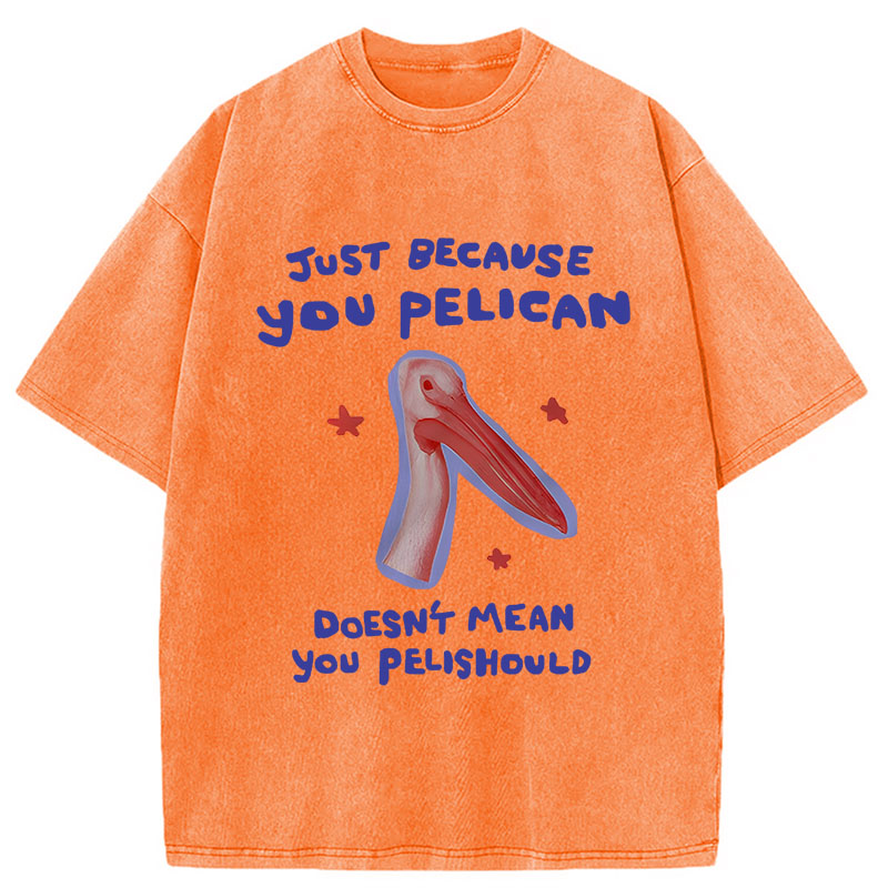 Modecanvas Just Because You Pelican DTG Printing Washed T-Shirt
