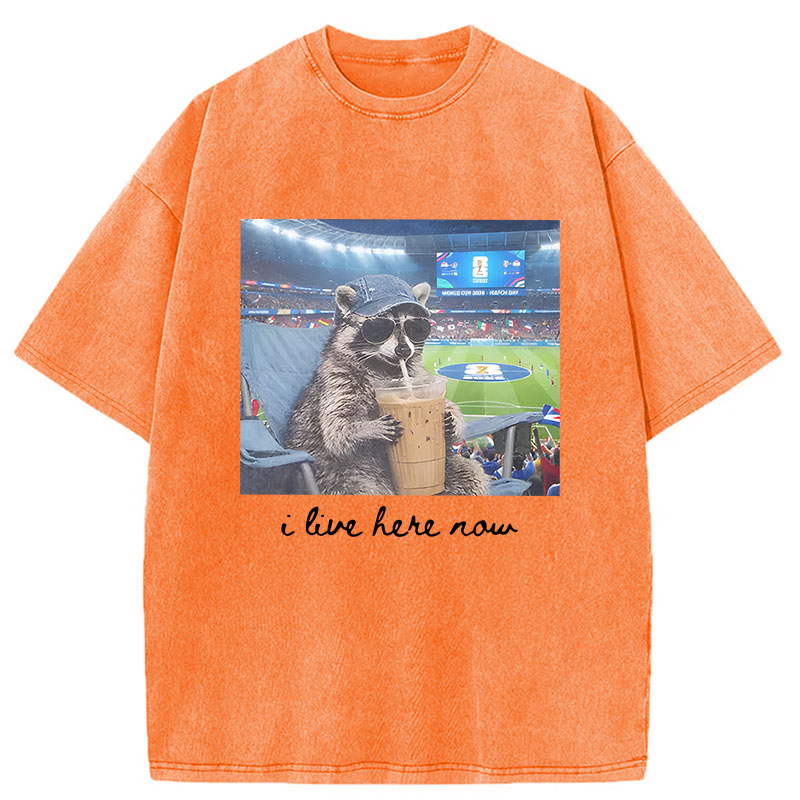 Modecanvas I Live Here Now Raccoon DTG Printing Washed T-Shirt