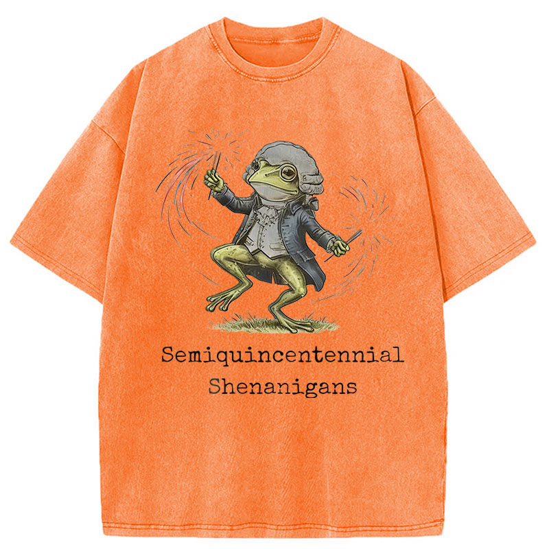 Modecanvas Funny Frog Semiquincentennial DTG Printing Washed T-Shirt