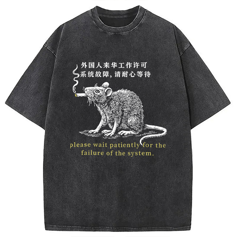 Modecanvas Travel Permit Washed T-Shirt