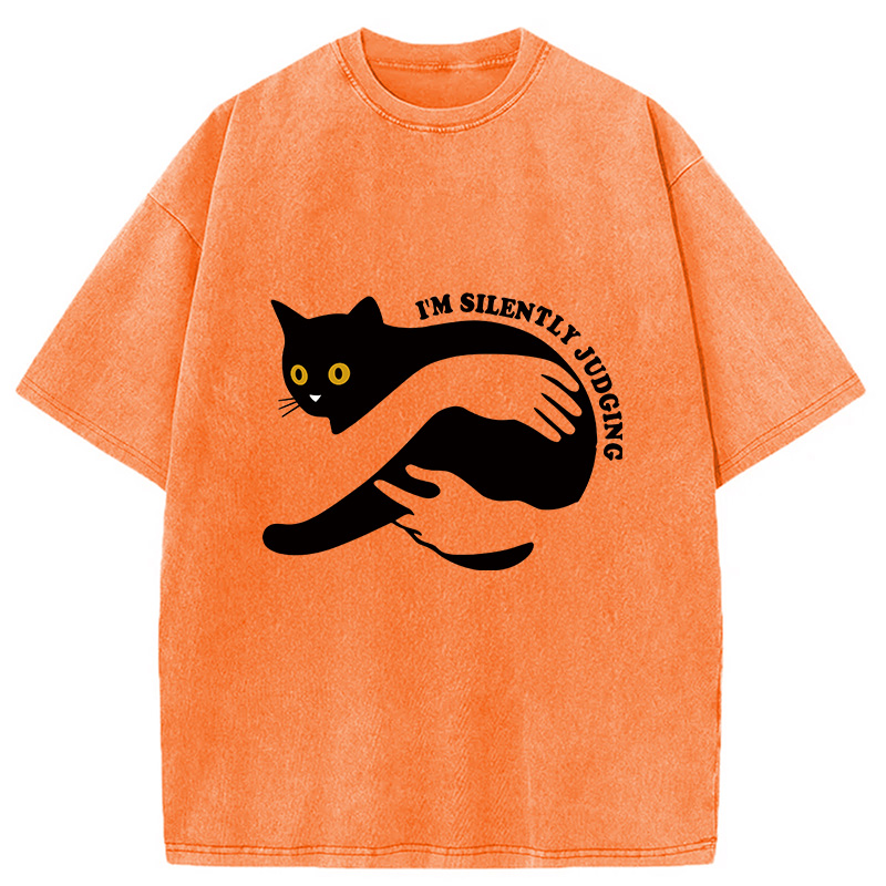 Modecanvas Black Cat In Arms Judging You Washed T-Shirt