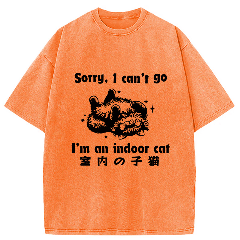 Modecanvas House Cat Washed T-Shirt
