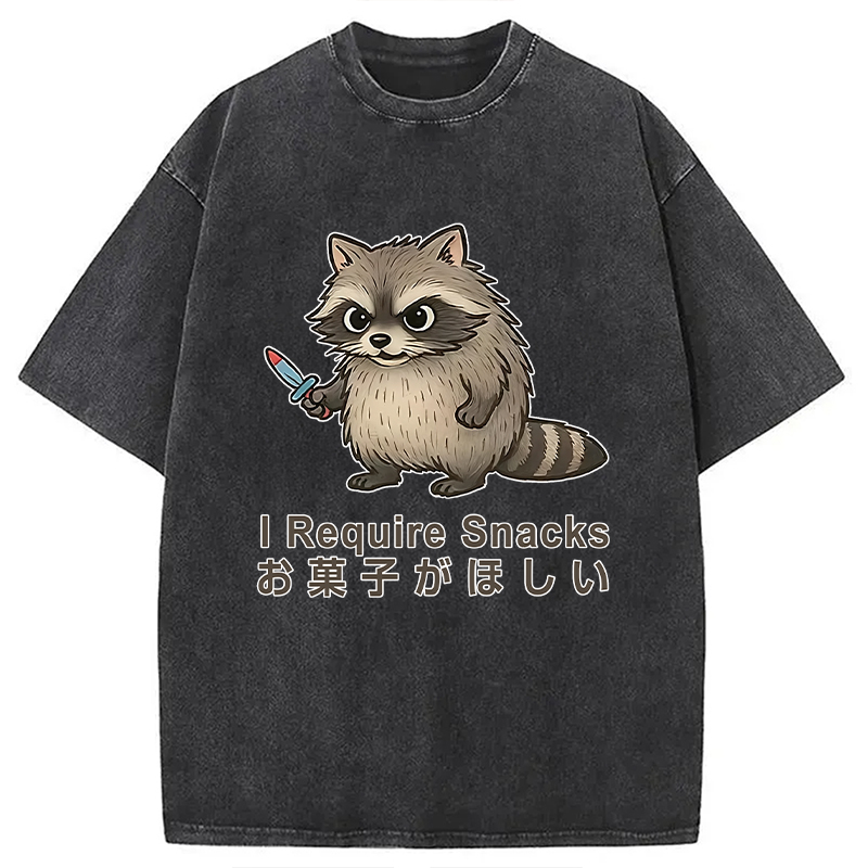 Modecanvas Raccoons Need Snacks Funny Washed T-Shirt