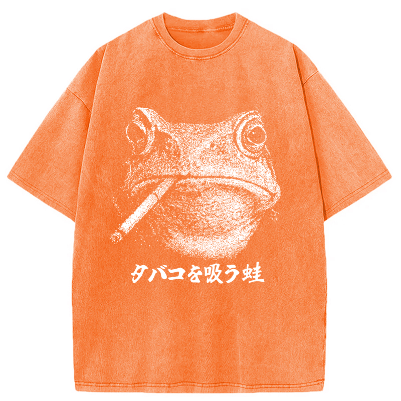 Modecanvas Funny Smoking Frog Meme Washed T-Shirt