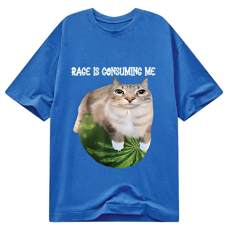 Modecanvas Rage Is Consuming Me Cat Meme DTG Printing Classic T-Shirt-modecanvas