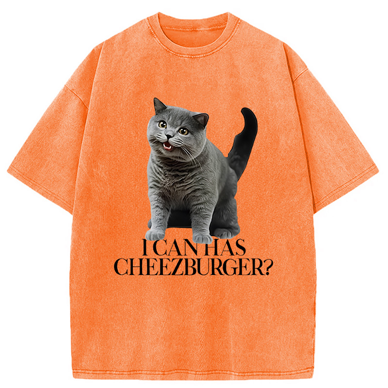Modecanvas I Can Has Cheezburger Washed T-Shirt