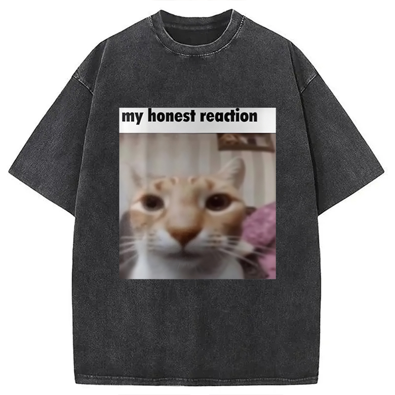 Modecanvas My Honest Reaction Cat Meme Washed T-Shirt