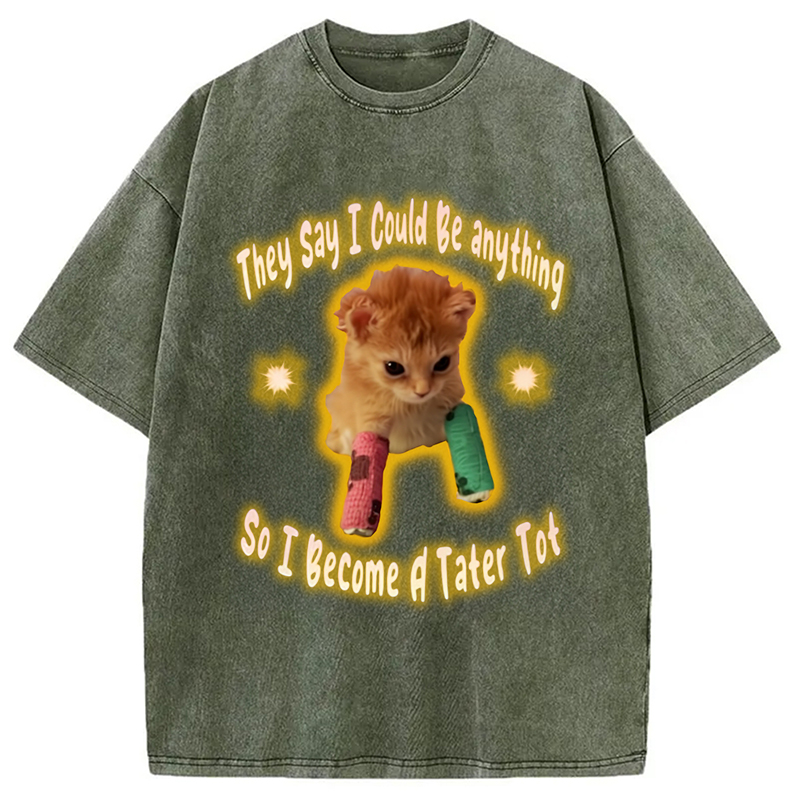 Modecanvas Tater Tot Cat Funny Meme Washed T-Shirt