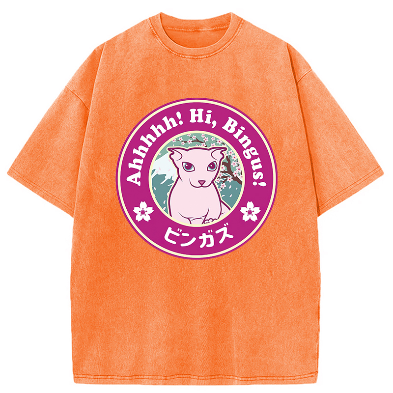 Modecanvas Kawaii Hi Bingus Washed T-Shirt