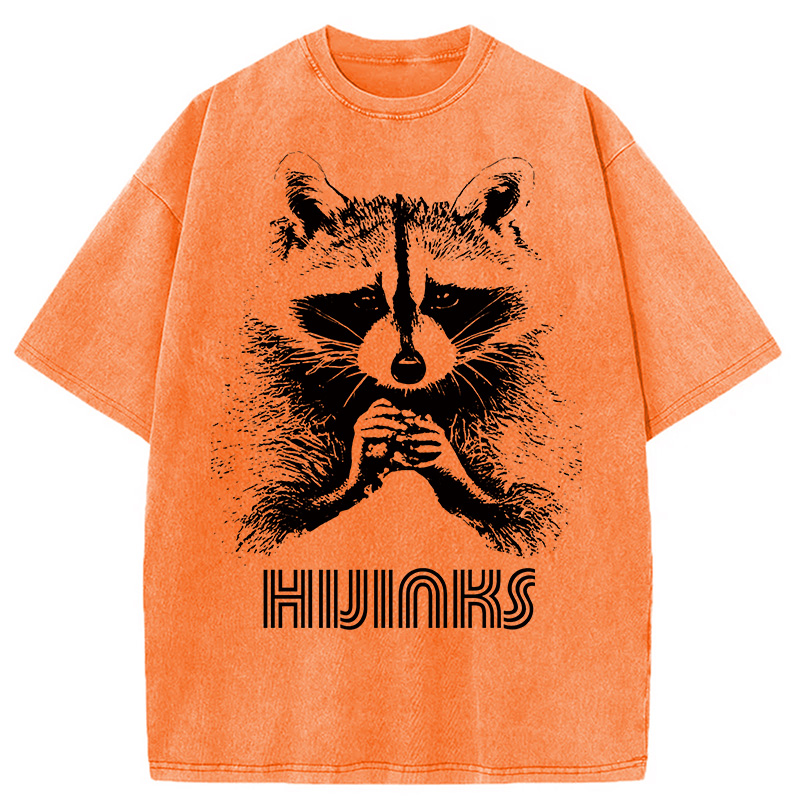 Modecanvas Raccoon Hijinks Washed T-Shirt