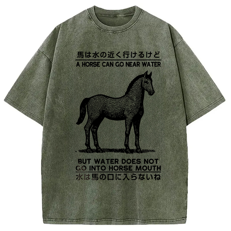 Modecanvas Funny Horse And Water Saying Washed T-Shirt
