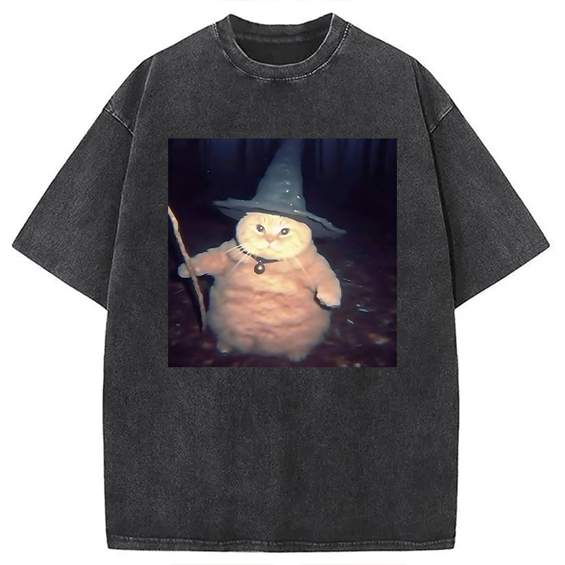 Modecanvas Wizard Cat Funny Halloween Washed T-Shirt-modecanvas