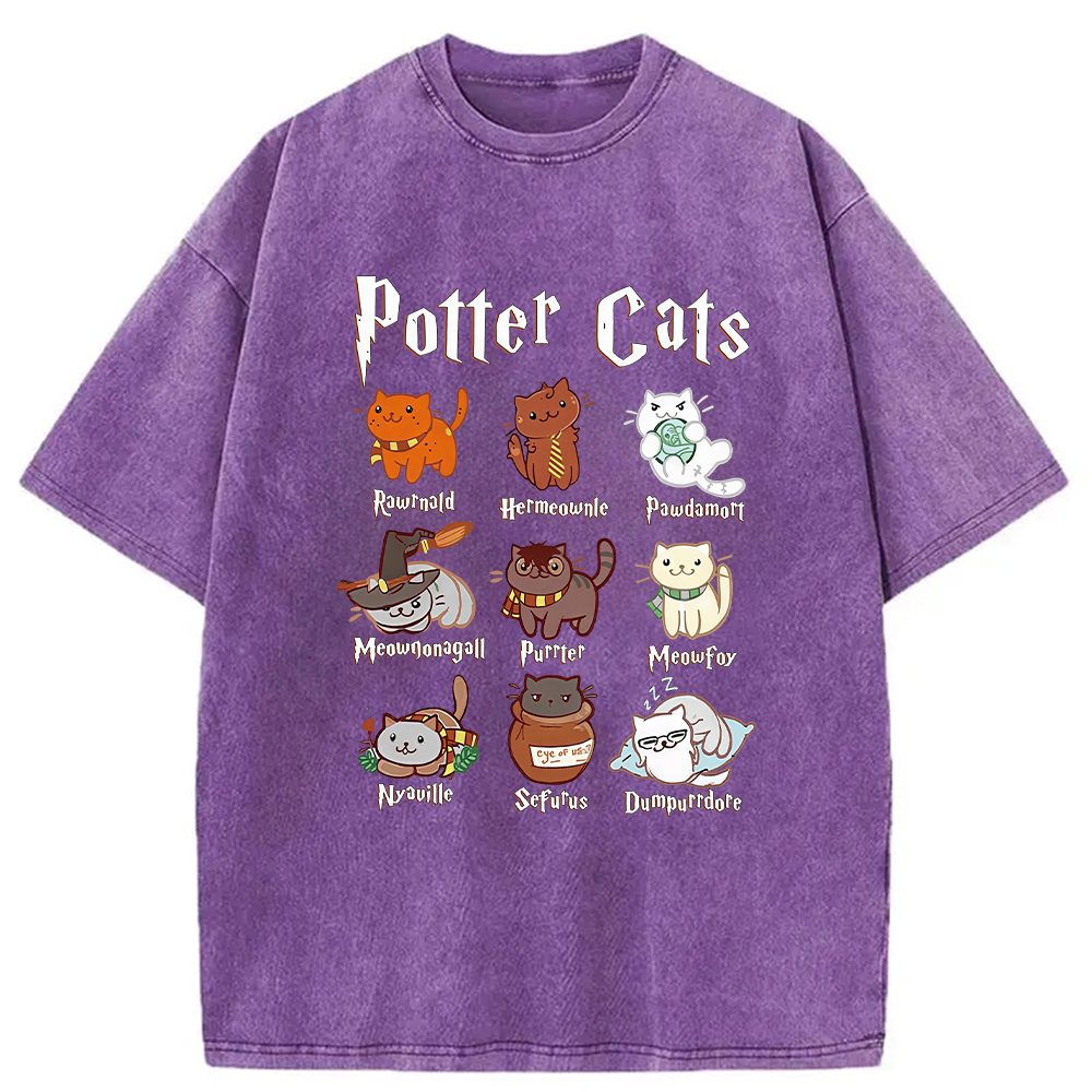 Modecanvas Wizard Cats Washed T-Shirt