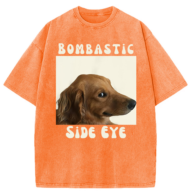 Modecanvas Bombastic Side Eye Funny Dog Meme Washed T-Shirt