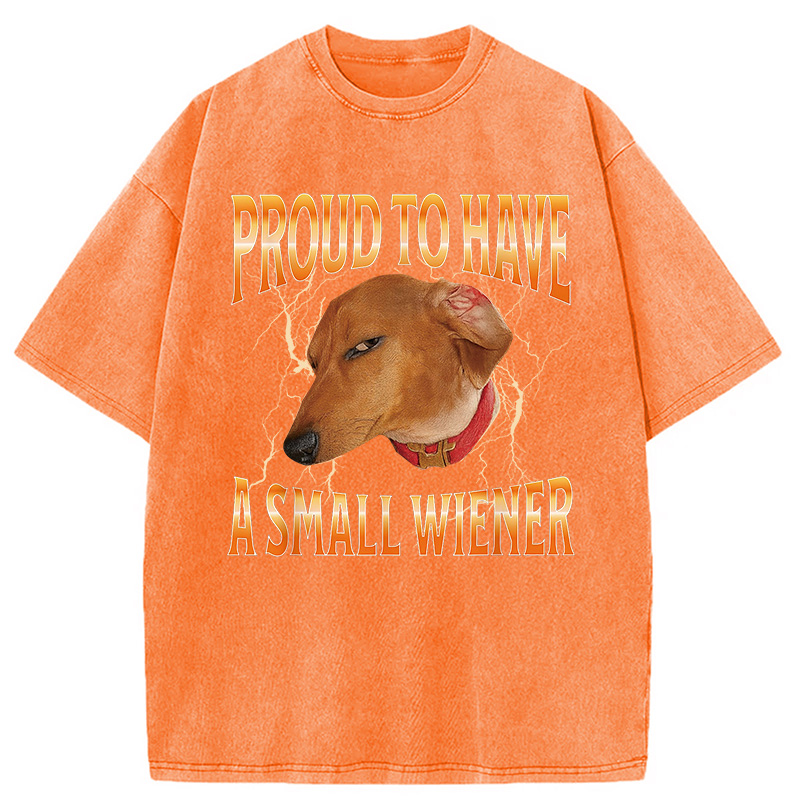 Modecanvas Funny Dog Meme Washed T-Shirt