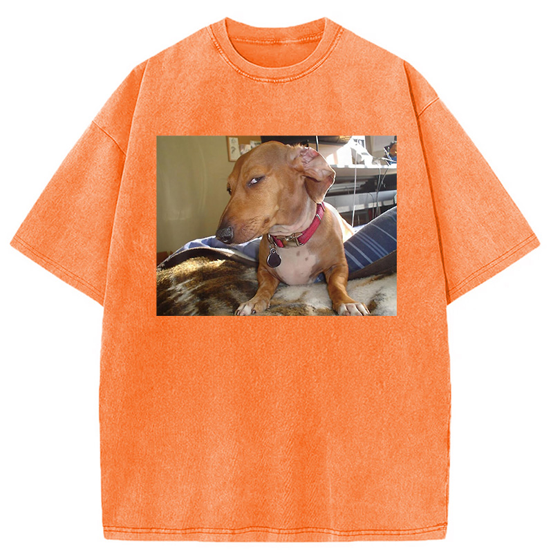 Modecanvas Side Eye Dog Meme Washed T-Shirt