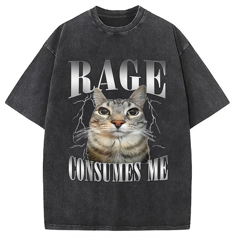 Modecanvas Rage Consumes Me Funny Cat Washed T-Shirt