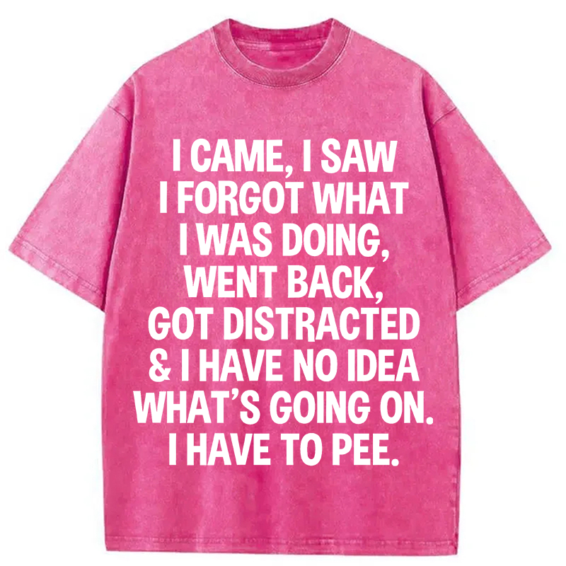 Modecanvas I Came I Saw I Forgot What I Was Doing DTG Printing Washed T-Shirt